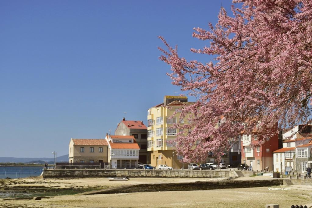 A Esmorga-Posada Del Mar Vilagarcia de Arousa Eksteriør bilde